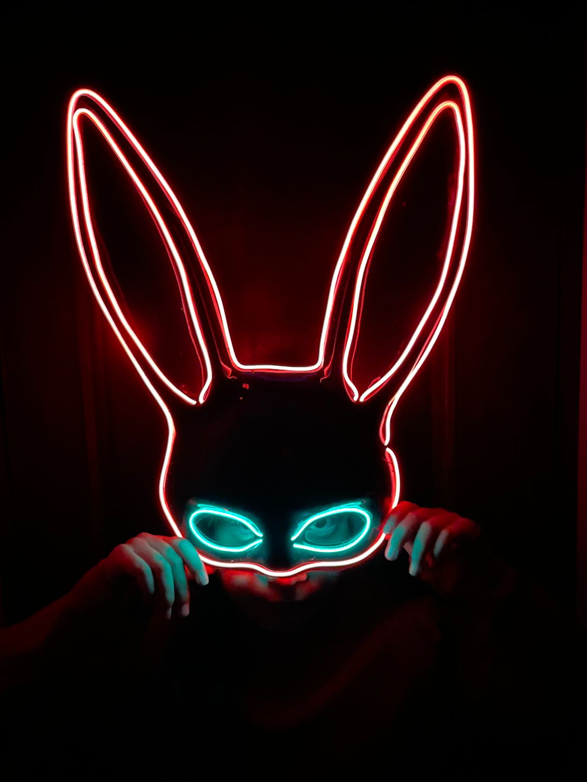 Mascara Coneja Negro Disfraz Sexy Hallow